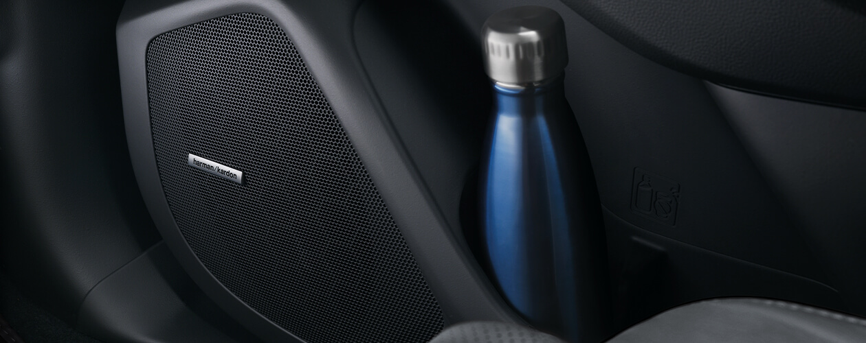 Sistema de Audio Premium 